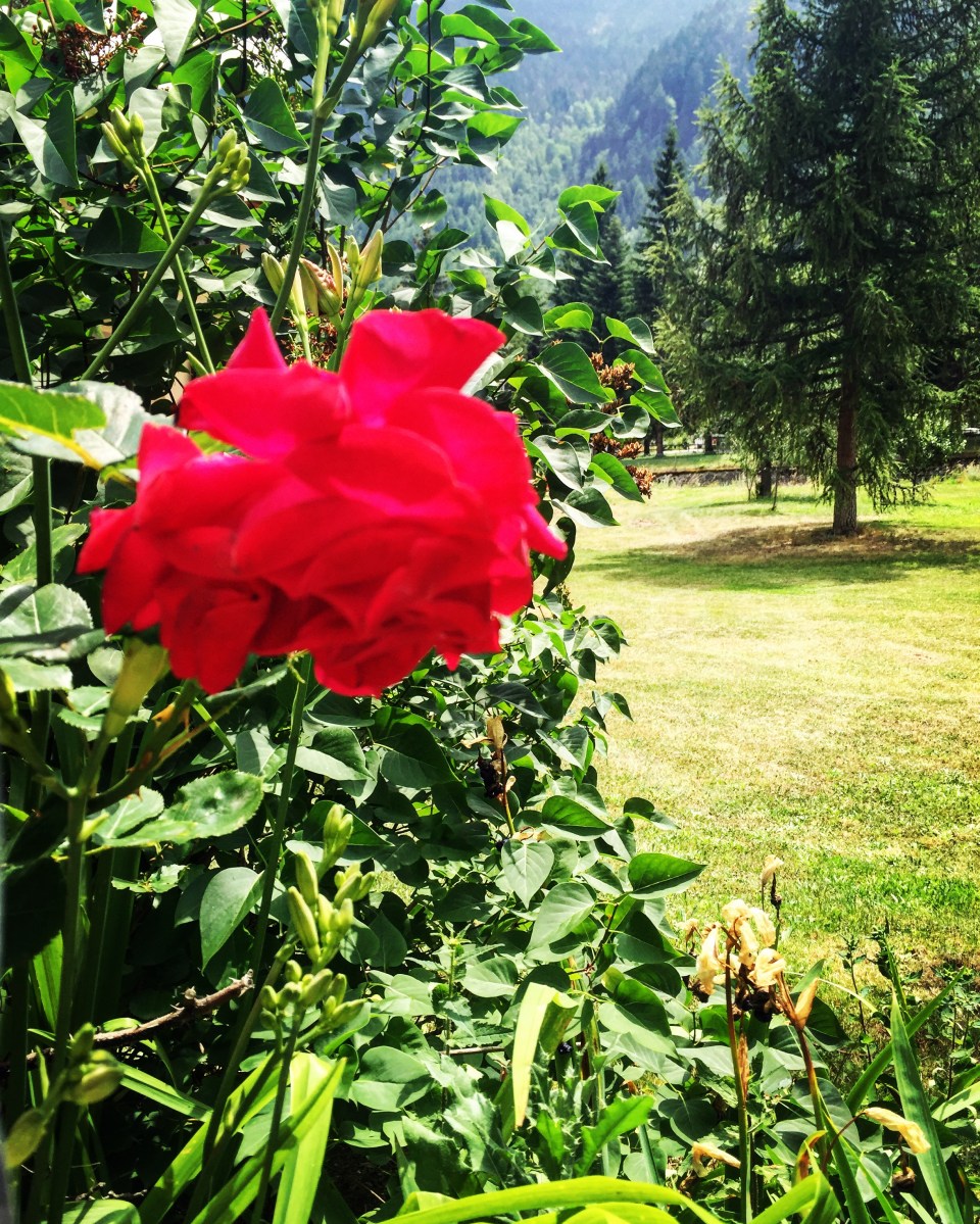 giardini appartamentialta valle maira.JPG